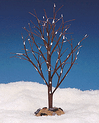 9" Winter Elm