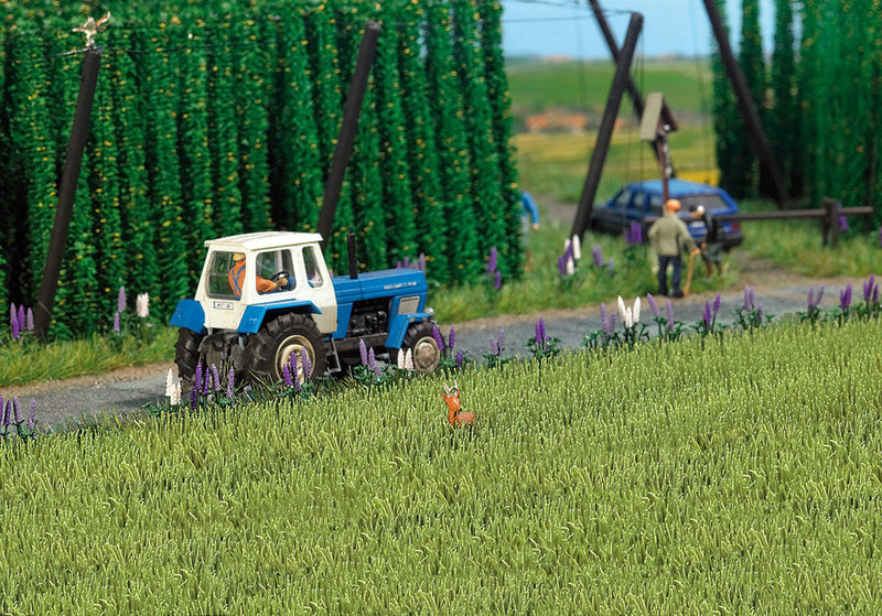 Spring Wheat Field -- Green-1