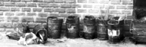 55-Gallon Drum (Used)
