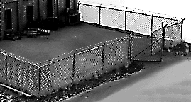 Chain Link Fence Kit -- 30"