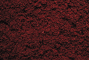 Medium Ground Foam - Regular (1oz) -- Maple Red