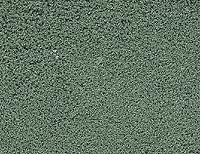 Fine Ground Foam - Regular (1oz) -- Spruce Green