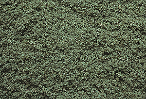 Medium Ground Foam - Regular (1oz) -- Spruce Green
