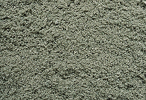 Medium Ground Foam - Regular (1oz) -- Eucalyptus