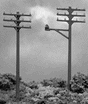 Telephone Poles