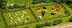Animals -- Cows & Horses