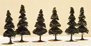 4" evergreen           4/