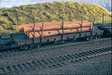 ACF Log Car w/Logs - Ready to Run - Silver Series(R) -- 1935-1960 Version (Boxcar Red)