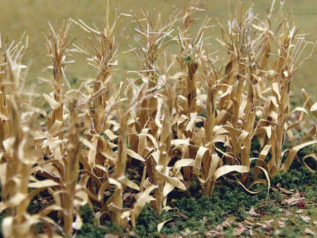 Dried Corn Stalks -- 1"  2.5cm Tall pkg(30)