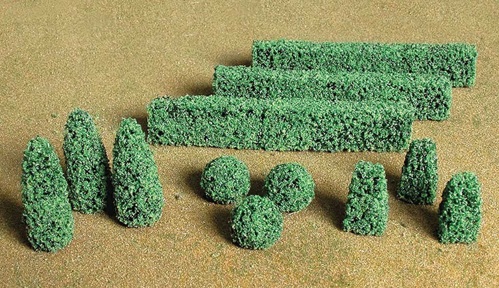 Boxwood Plants -- Assorted pkg(20)