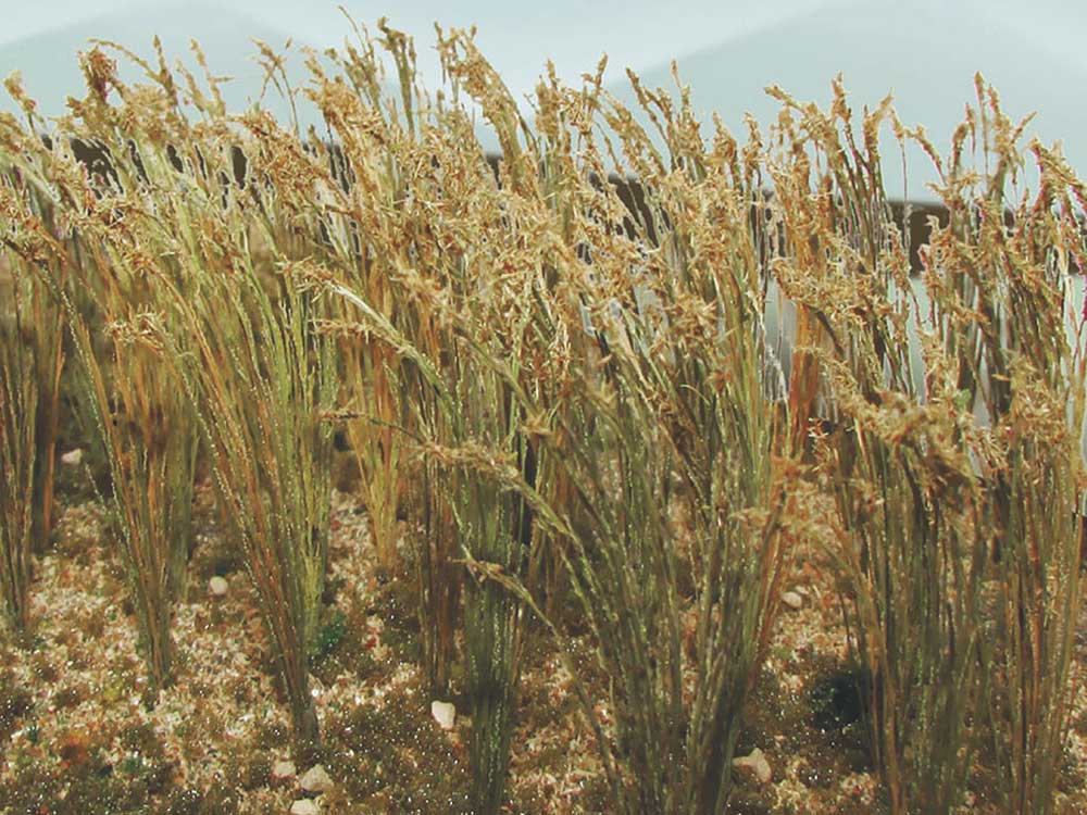 Wheat -- 1"  2.5cm Tall pkg(30)
