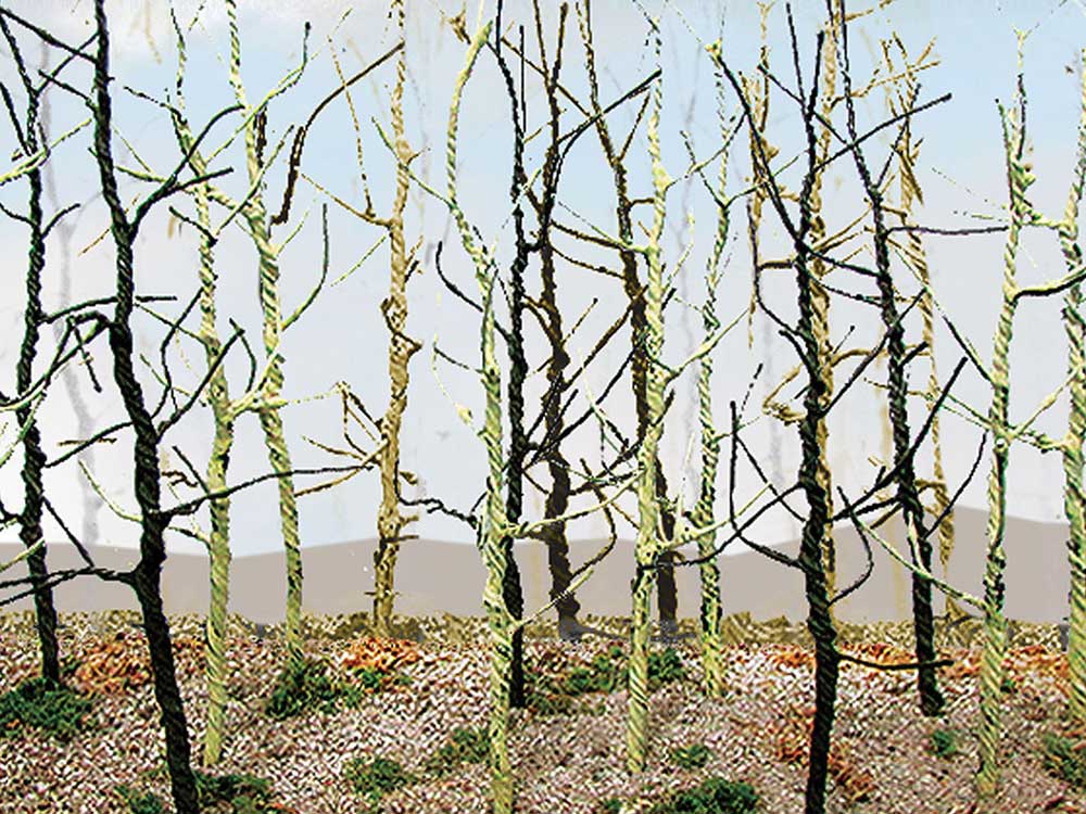 Woods Edge Trees -- Bare pkg(14)