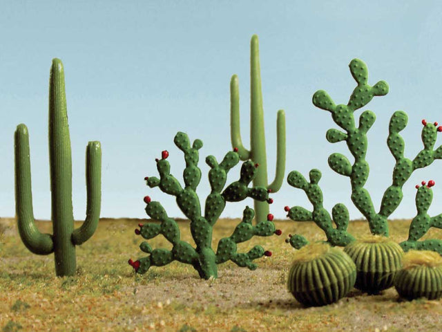 Mixed Cactus pkg(15) -- Height: 1/4 to 2-1/2"  .6 to 6.4cm
