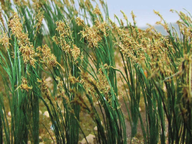 Reeds pkg(40) -- Height: 1"  2.5cm
