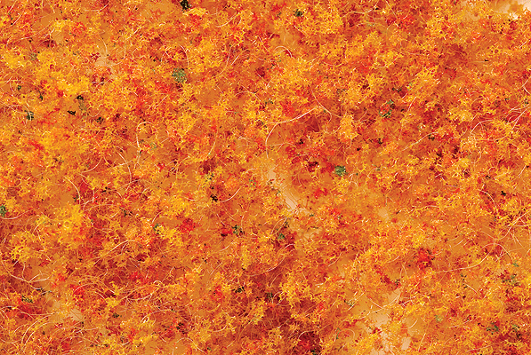 SceneScapes(TM) Medium Foliage -- Early Fall-1