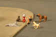 SceneScapes(TM) Figures -- Dogs with Fire Hydrant pkg(6)-1