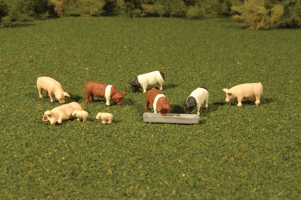 Pigs - SceneScapes(TM) -- pkg(9)