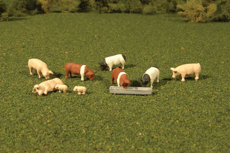 Pigs - SceneScapes(TM) -- pkg(9)