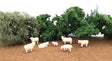 Sheep pkg(7)