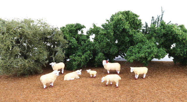 Sheep pkg(7)