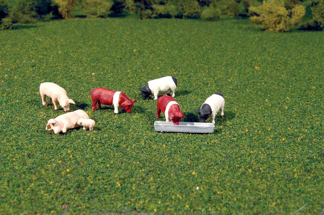 Animals -- Pigs pkg(9)