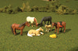 Animals -- Horses pkg(6)