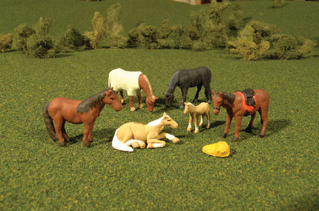 Animals -- Horses pkg(6)