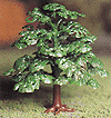 Shade Trees -- Green