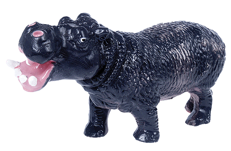 Hippopotamus
