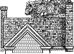 Shake shingles roof strps