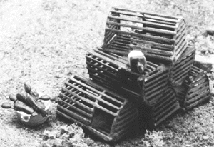 Lobster Traps