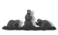 Beavers -- Unpainted pkg(3)