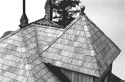 Truewood(TM) Strip Shingles -- Rustic
