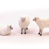 Sheep -- Unpainted pkg(5)