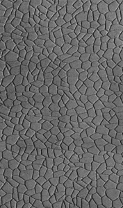 Plastic Sheets pkg(2) -- Random Stone Paving