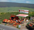 Strawberry Stand -- Kit