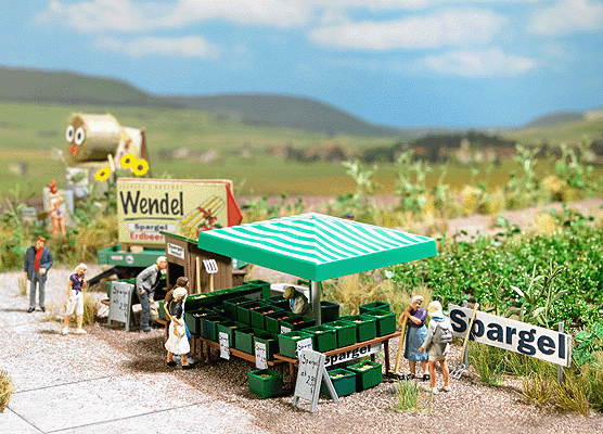 Asparagus Stand w/Accessories -- Kit