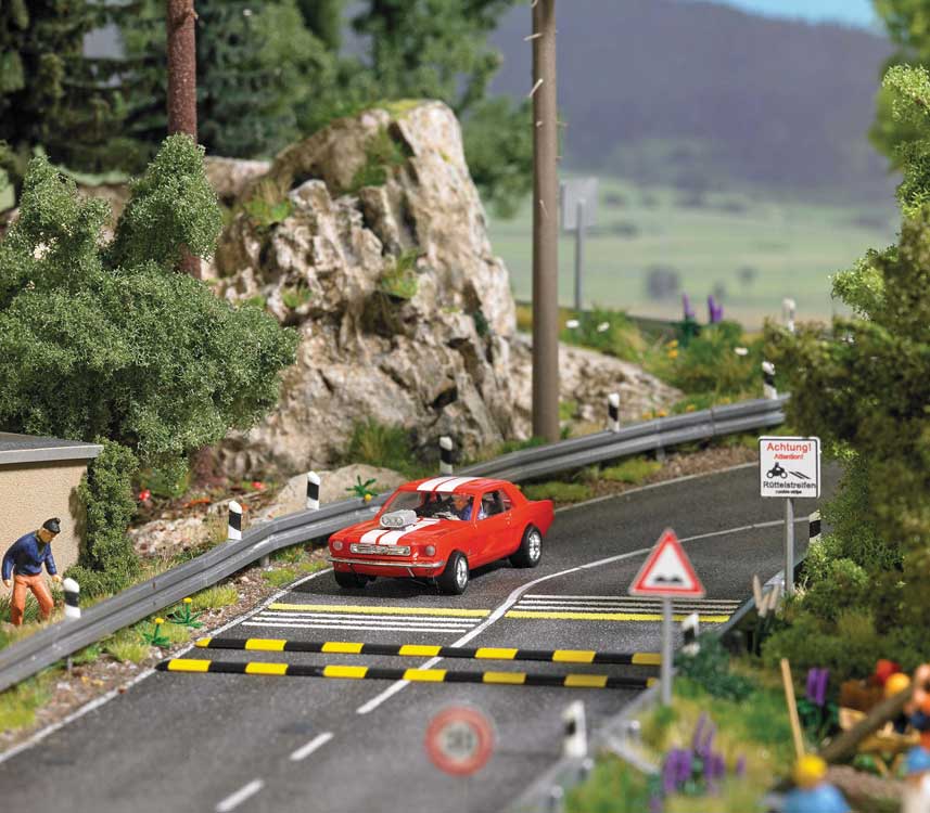 "Sleeping Policeman" Speed Bumps with Signs-3
