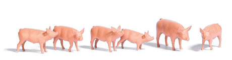Hogs/Pigs -- pkg(6)
