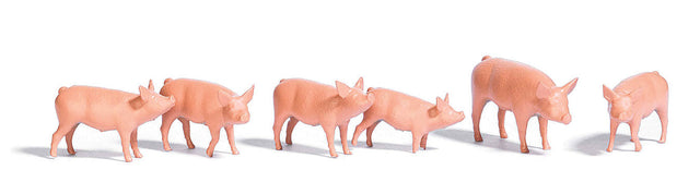 Hogs/Pigs -- pkg(6)