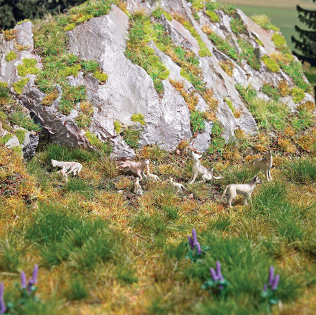 Wolf Pack -- pkg(10)-2