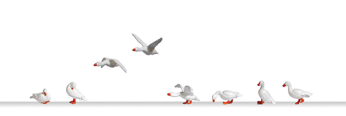 Domestic Geese -- pkg(8)-2