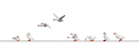 Domestic Geese -- pkg(8)-2