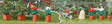 Christmas Flower Set