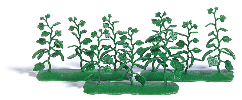Cucumber Plants - Assembled -- pkg(9)