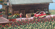 Rose Bushes - Assembled pkg(36)-1