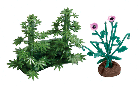 Plants -- Hemp And Poppy