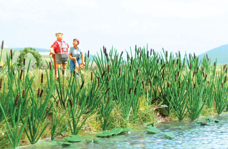 Cattails and Bull Rush Plants -- Kit pkg(120)