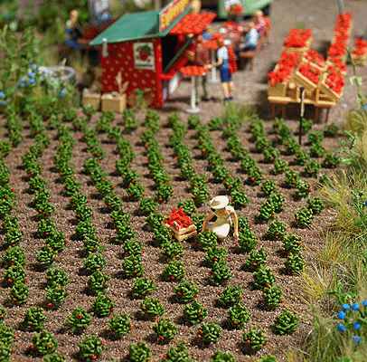Strawberry Plants -- Kit pkg(40)