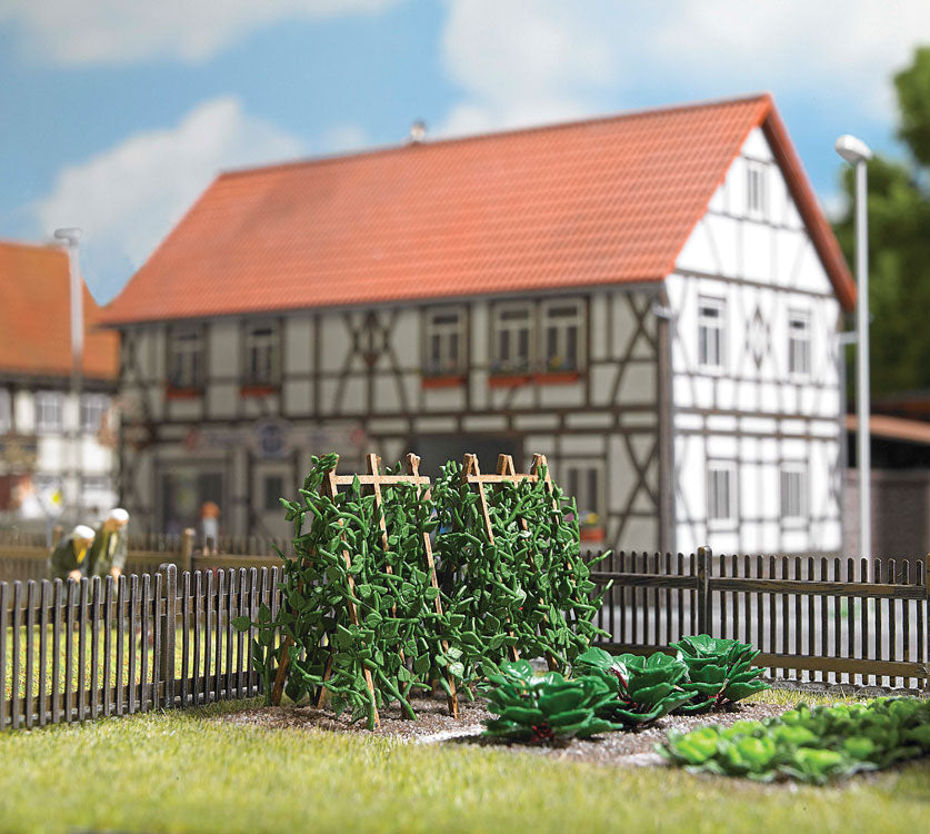 Runner Bean Plants on Wooden Poles - Kit -- pkg(18)